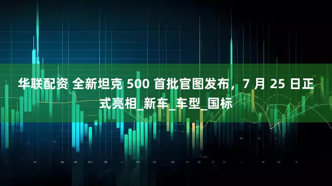 华联配资 全新坦克 500 首批官图发布，7 月 25 日正式亮相_新车_车型_国标